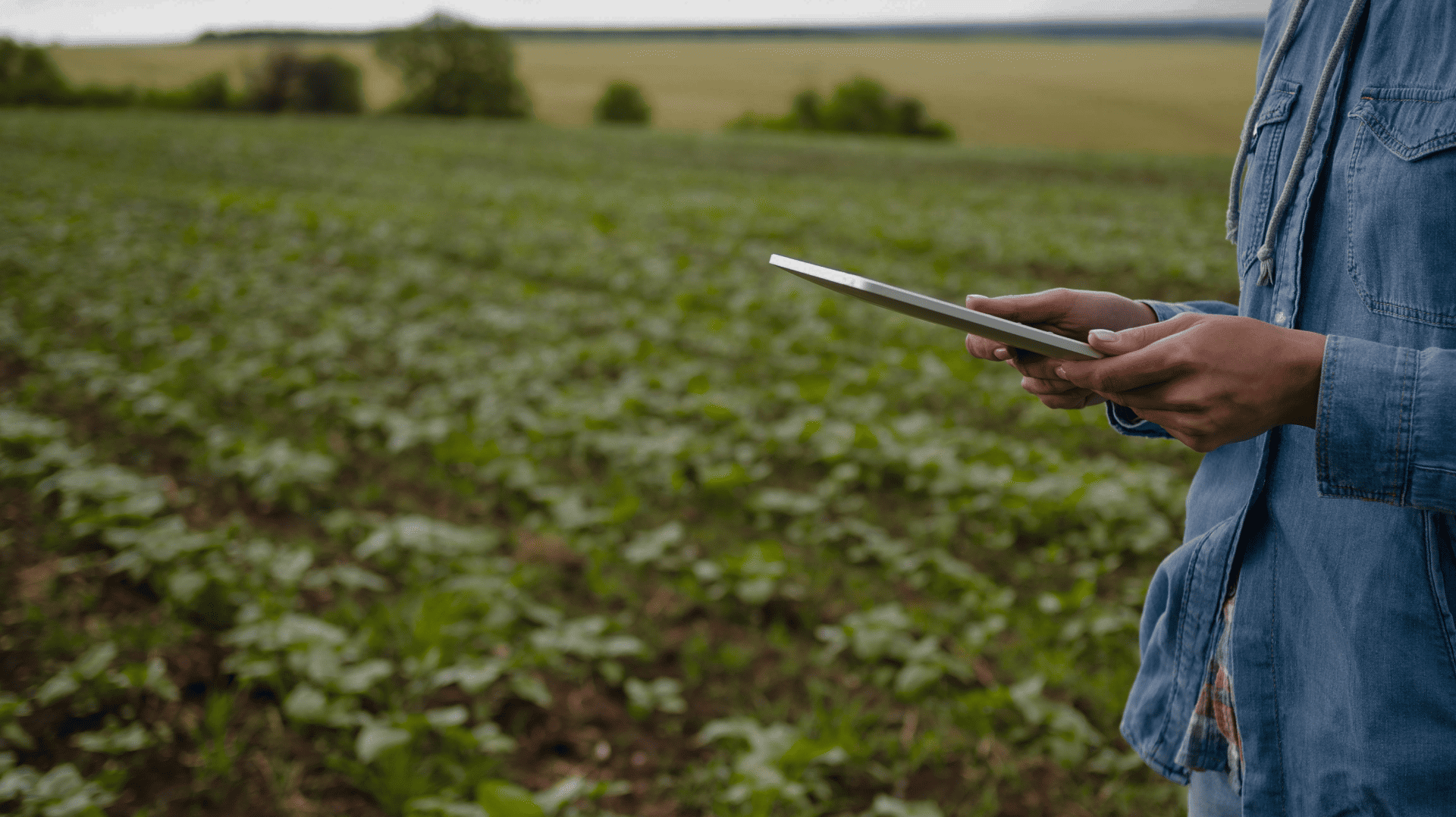 BECA – DAPSA (Desarrollo Austro Paraguayo S.A.)